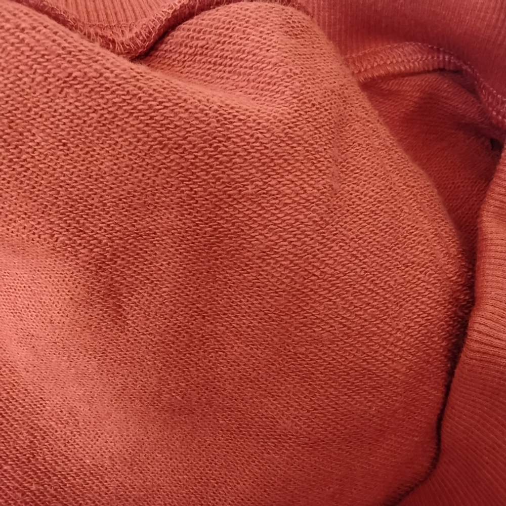 MR. BEAST BURNT ORANGE EMBROIDERED HOODIE. Retired - Picture 8 of 9